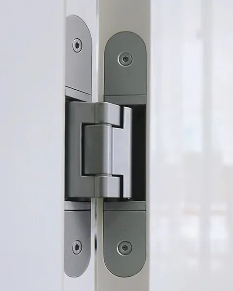 Stainless Steel Hinges